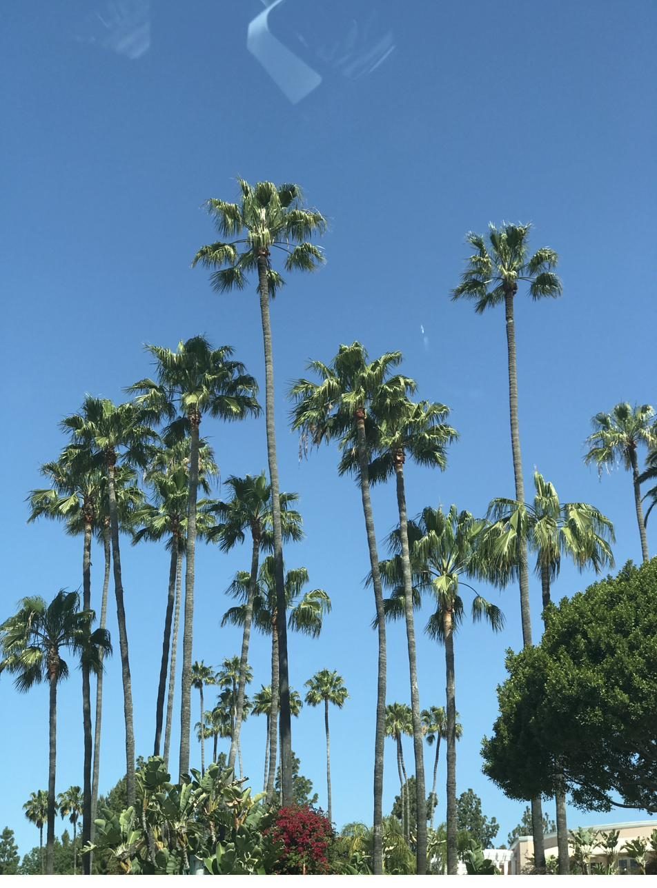 Los Angeles