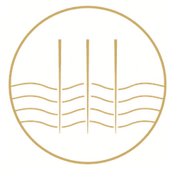 SkinPen crest